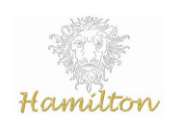 Hamilton Immobilien GmbH